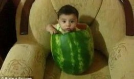 吃瓜视频哪里能看,吃瓜视频观看攻略，轻松找到热门瓜源