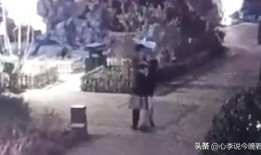 辉县吃瓜视频合集,揭秘当地生活百态