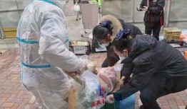 青州疫情吃瓜事件视频,一场网络舆论的风暴与反思