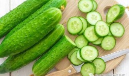 又到吃瓜的季节视频,跟随“又到吃瓜的季节”视频，畅游美味瓜果盛宴