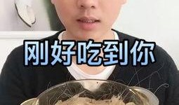 大哥在家吃瓜视频大全集,趣味视频大全集精彩回顾