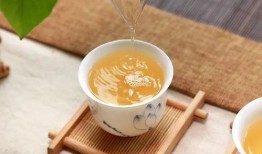 吃瓜喝茶拉拉呱视频大全,趣味视频大全集锦