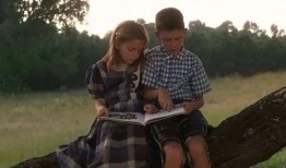 吃瓜启示录视频,揭秘娱乐圈背后的真相与启示