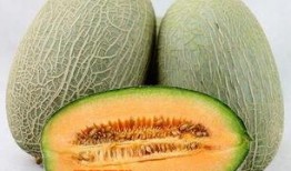 吃哈密瓜孩子视频播放大全,孩子欢乐食光大盘点