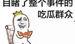 猪小明吃瓜王炸视频,趣味横生美食大作战