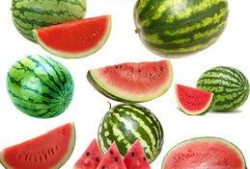 南工程吃瓜视频,揭秘校园热点背后的真相