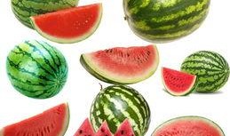 南工程吃瓜视频,揭秘校园热点背后的真相