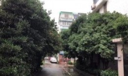 汾阳国际城小区吃瓜视频,邻里琐事引发网友热议