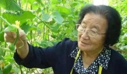 吃瓜小熊云南人视频在线观看,云南人视频在线观看