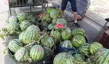 南宁地产吃瓜事件视频,一场网络热议的地产纠纷揭秘