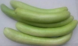 种花吃瓜的视频,一场别开生面的田园生活体验