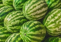 吃瓜视频都是在哪找,吃瓜视频的生成奥秘