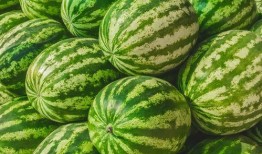 吃瓜视频都是在哪找,吃瓜视频的生成奥秘