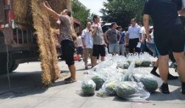 陕西师范大学吃瓜视频,趣味视频揭秘校园生活点滴