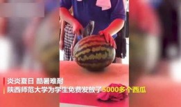 陕西师范大学吃瓜视频,趣味视频揭秘校园生活点滴