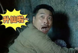 萌星人吃瓜视频在线观看,萌宠界的欢乐盛宴