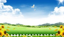 蓝天白云吃瓜视频,吃瓜视频带你领略欢乐时光