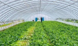 一家子的吃瓜群众视频,欢乐视频大揭秘