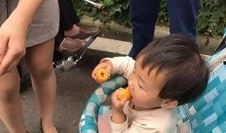 一个吃瓜游客的故事视频