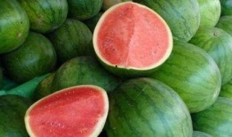 糖尿病望解可以吃瓜视频,西瓜的甜蜜诱惑