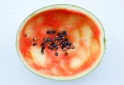 吃瓜用大勺子怎么做视频,轻松制作趣味视频教程