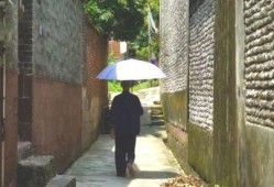 一个吃瓜游客的故事视频