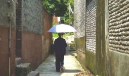 一个吃瓜游客的故事视频