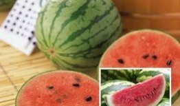 吃喜瓜视频,揭秘美食背后的故事与魅力