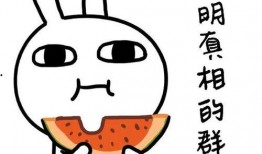 带你吃瓜倒放视频素材,揭秘视频背后的趣味真相