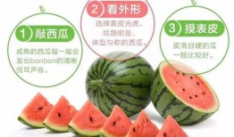 吃瓜视频在哪里买,吃瓜视频，如何轻松购买热门内容