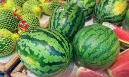 今天的吃瓜视频,揭秘娱乐圈最新热点事件