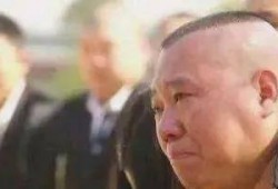 黄冈吃瓜事件始末视频,一场网络风波的始末揭秘