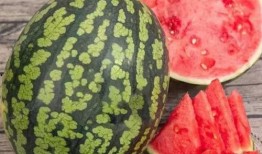 24年吃瓜视频,盘点那些让人捧腹大笑的短视频