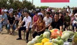 农民免费吃瓜视频网站,农民专属视频网站带你体验田园生活