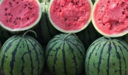 吃瓜甜不甜广告视频下载