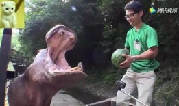 拍的真实吃瓜视频