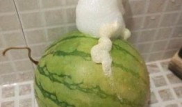 泡泡又困了最新吃瓜视频,揭秘最新吃瓜视频背后的热点事件