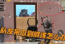 吃鸡抓大呆瓜视频,网友直呼“太欢乐”