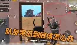 吃鸡抓大呆瓜视频,网友直呼“太欢乐”