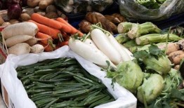 山东东营吃瓜事件视频,一场网络热议背后的真相揭秘