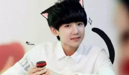 王源吃瓜贾乃亮视频,娱乐圈幕后故事引热议