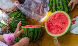 世界上吃瓜视频,揭秘各国奇闻异事短视频潮流