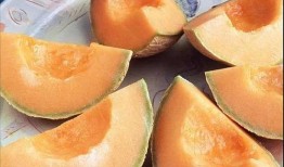 吃生瓜的视频大全