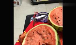 东北真实吃瓜视频下载,揭秘东北特色美食背后的故事