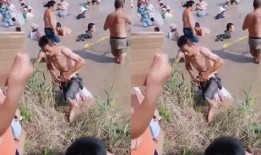 吃瓜群众喂鱼视频,鱼儿吃瓜，瓜味如何？