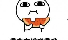 吃瓜博主道歉视频大全,反思与成长之路