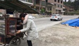 群众回家吃瓜视频,见证民间欢乐时光