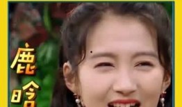 大老师吃瓜鹿晗视频全集,揭秘明星幕后故事，视频全集大揭秘