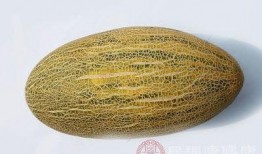 牧民吃哈密瓜视频大全集