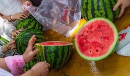 吃瓜视频2024最新,热点事件回顾与深度解析